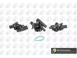 Термостат на Clio, Espace, Kangoo, Laguna, Megane