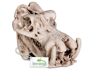 Тераріум Декорація череп бегемота Terrario Hippo Skull 5x3x3см