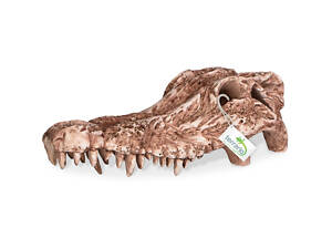 Тераріум Декорація черепа крокодила Terrario Crocodile Skull 30x14x9см