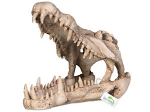 Тераріум Декорація черепа крокодила Terrario Crocodile Skull XL 23x11x16см