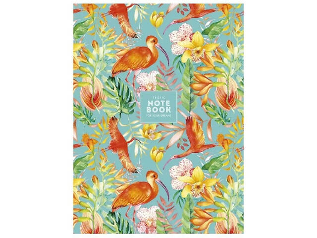 Зошит Школярик А4 Student лінія 40 аркушів (A4-040-543L) - Фото 2