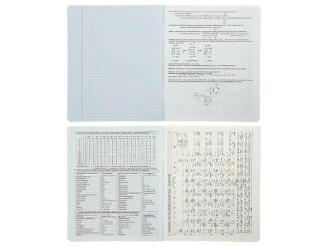 Зошит ZiBi предметний GRADIENT 48 аркушів клітинка, хімія (ZB.1702-06) - Фото 3
