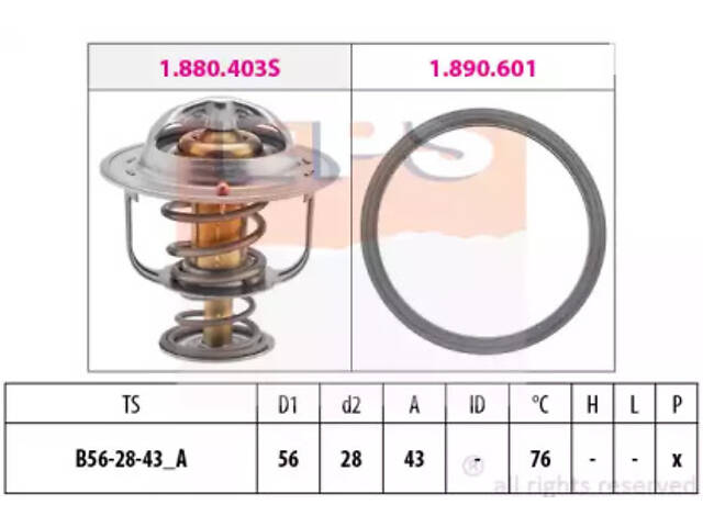 Thermostat, coolant