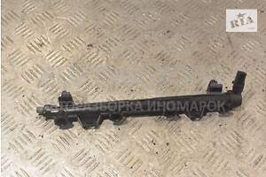 Топливная рейка бензин Seat Ibiza 1.6 16V 2008 036133320C 238169