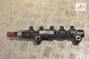 Паливна рейка Peugeot 206 1.4hdi 1998-2012 9654592680 214402