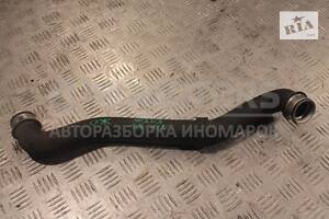 Трубка системы охлаждения Mercedes C-class 1.8 16V (W203) 2000-2007 A2095010082 135602