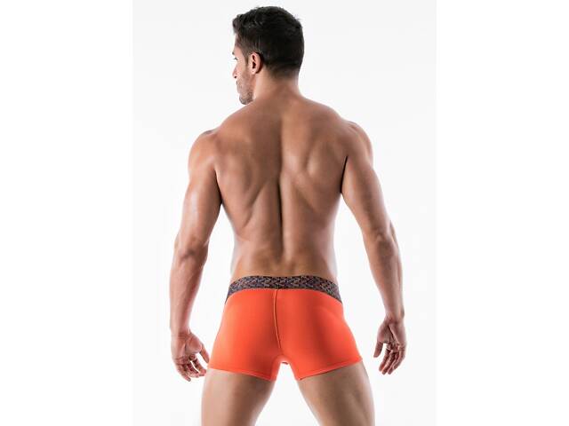 Труси боксери Geronimo 1952b1 S 19524 оранжевий (3800205880950) - Фото 3