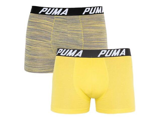 Трусы-боксеры Puma Bold Stripe Boxer 2-pack M gray/white 501002001-020 - Фото 1