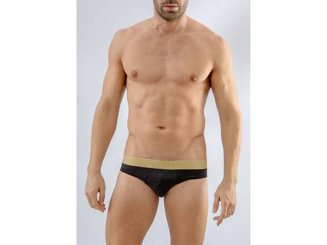 Труси сліпи Geronimo 1667s2 L 16674 Темно-сірий (3800205820840) - Фото 1