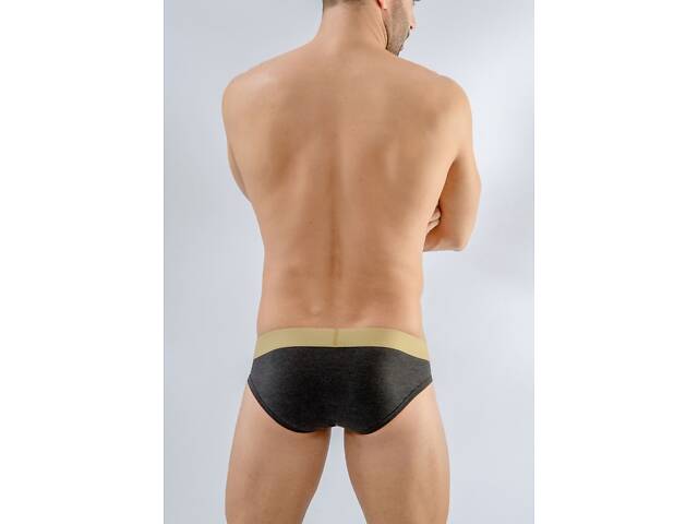 Труси сліпи Geronimo 1667s2 L 16674 Темно-сірий (3800205820840) - Фото 2