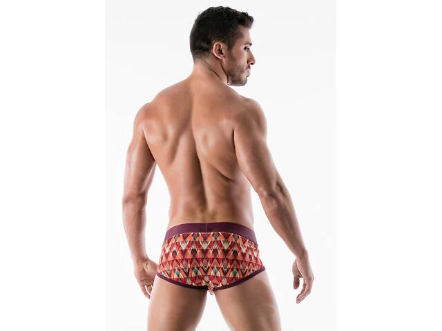 Труси сліпи Geronimo 1952s4 M 19527 різнокольорові (3800205881537) - Фото 3