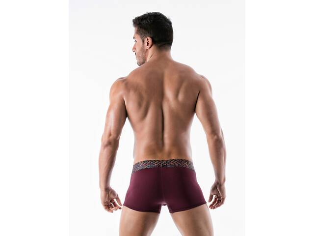 Труси сліпи Geronimo 1952s2 L 19525 Бордовий (3800205881384) - Фото 2