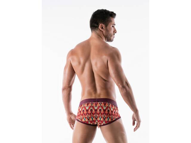 Труси сліпи Geronimo 1952s4 L 19527 Різнокольорові (3800205881544) - Фото 2