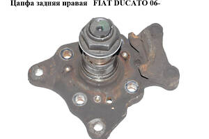 Цапфа задняя правая FIAT DUCATO 06- (ФИАТ ДУКАТО) (517639, 93502112)