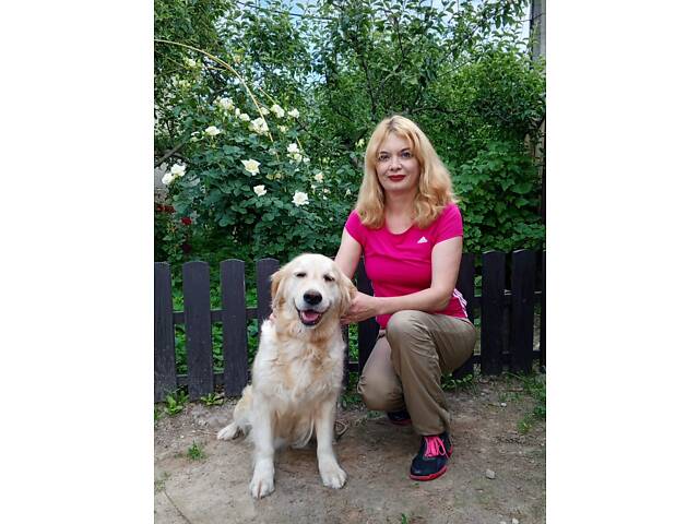 Щенки Золотистого ретривера - Фото 6