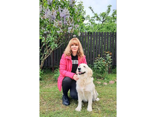 Цуценята золотистого ретрівера Ot Bahur - Фото 4