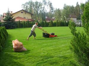 Уборка территории покос травы