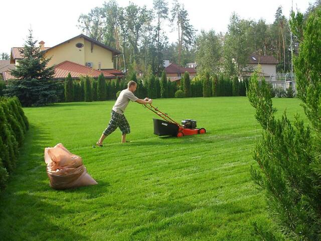 Уборка территории покос травы - Фото 1