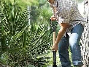 Уход за участком вывоз мусора