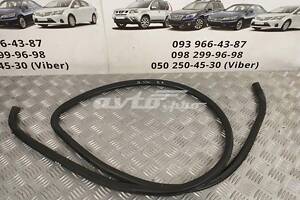 уплотнитель двери передней правой (на кузове) Lexus IS 2005-2013 6231153030