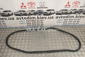 Ущільнювач двері задньої лівої на кузові 72855SED003ZA Honda Accord 7 2002-2008