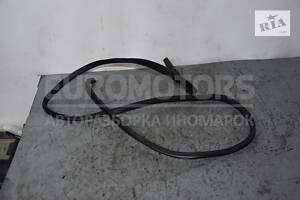 Уплотнитель двери задний левый Hyundai i10 2007-2013 81174