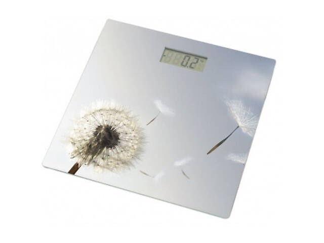 Підлогові ваги Grunhelm BES-BLG - Фото 1