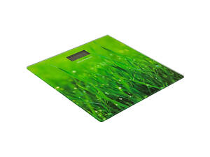 Ваги підлогові Grunhelm BES-GRA10 180 кг