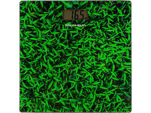 Підлогові ваги Grunhelm BES-GRA20