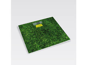 Ваги для підлоги Maestro MR-1824 150 кг