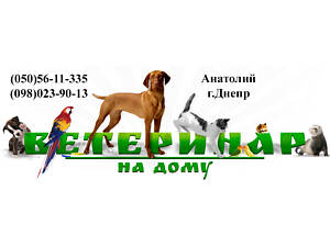 Ветеринарна допомога, вет. послуги, Кастрація, Стерилізація, Виклик ветеринара додому,виклик ветлікаря Дн
