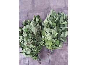 Віники для бані та сауни