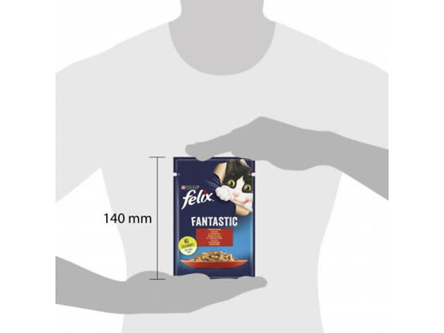 Вологий корм для кошек Purina Felix Fantastic з яловичиною в желе 85 г (7613039838624) - Фото 3