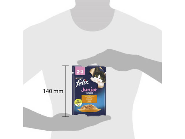 Вологий корм для кошенят Purina Felix Fantastic Junior з куркою в желе 85 г (7613039832189) - Фото 4