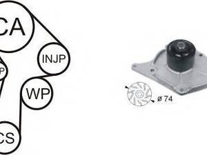 Водяний насос + комплект зубчастого ременя AIRTEX WPK 174601 RENAULT MODUS/GRAND MODUS (F/JP0_)