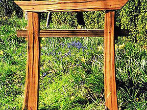 Ворота тории 'Симанто' мускат