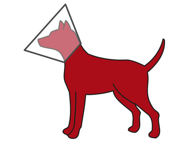 Нашийник для тварин Trixie на липучці S-M 30-37 см/14 см (4011905195131) - Фото 2