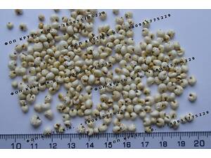 Воздушное просо 1кг вздутое Puffed millet