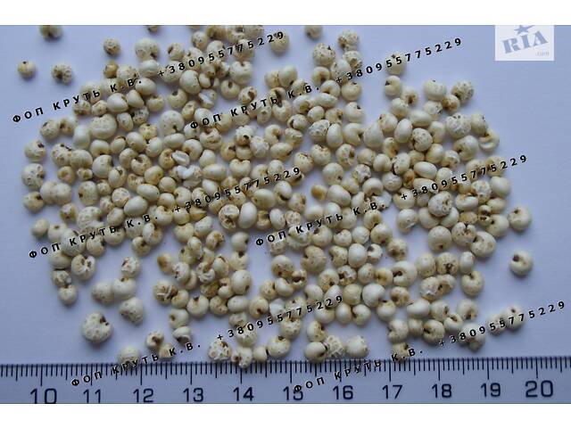 Воздушное просо 1кг вздутое Puffed millet - Фото 1