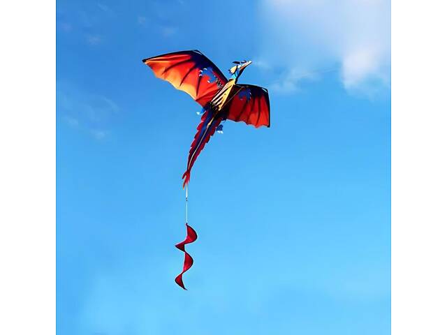 Повітряний змій Дракон 3D RESTEQ — яскравий кайт для активного відпочинку на природі - Фото 2