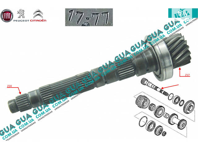 Вторичный вал КПП Z17 2316Q0 Citroen / СИТРОЭН JUMPY 1995-2004 / ДЖАМПИ 1, Citroen / СИТРОЭН JUMPY II 2004-2006 / ДЖАМПИ