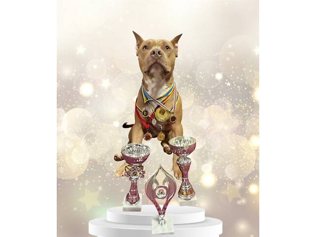 Перша в’язка. Кобель американського пітбуль терьєра. - Фото 1