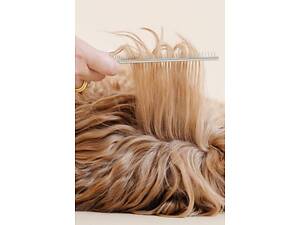 Вичісування собак, котів, морських свинок, кролів, тхорів