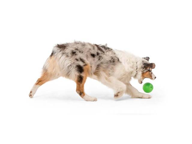 West Paw Rando (Вест Пав Рандо) іграшка для собак великий м'яч Оранжевий - Фото 3