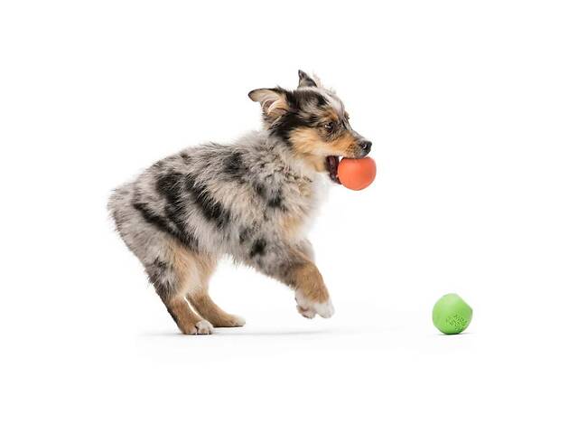 West Paw Rando (Вест Пав Рандо) іграшка для собак великий м'яч Оранжевий - Фото 4