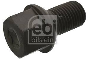 Wheel Bolt