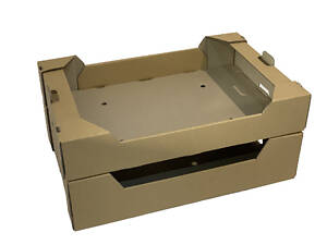 Ягідний Гофролоток 573*370*95мм двохбортовий (з п'ятишарового картону), 10 пінеток по 0,5