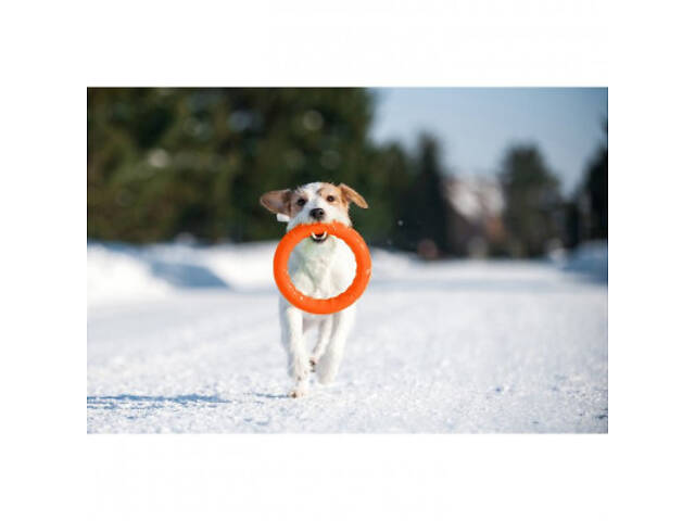 Іграшка для собак Collar PitchDog Кільце для апортирування 17 см помаранчеве (62364) - Фото 3