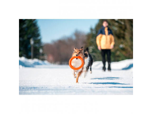 Іграшка для собак Collar PitchDog Кільце для апортирування 17 см помаранчеве (62364) - Фото 4