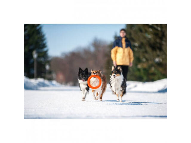 Іграшка для собак Collar PitchDog Кільце для апортирування 17 см помаранчеве (62364) - Фото 5